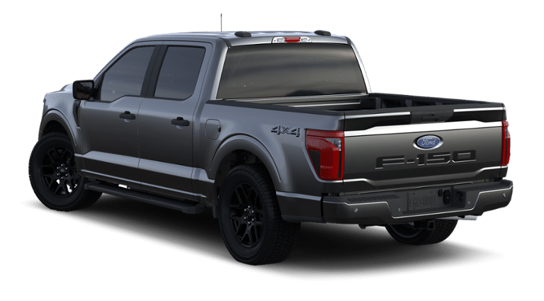 2024 Ford F-150 Vehicle Photo in Terrell, TX 75160